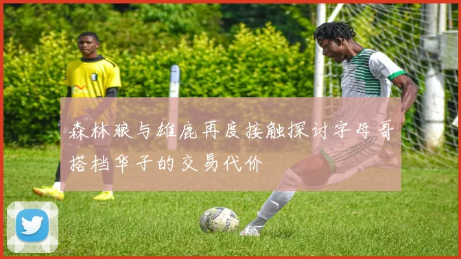森林狼与雄鹿再度接触探讨字母哥搭档华子的交易代价