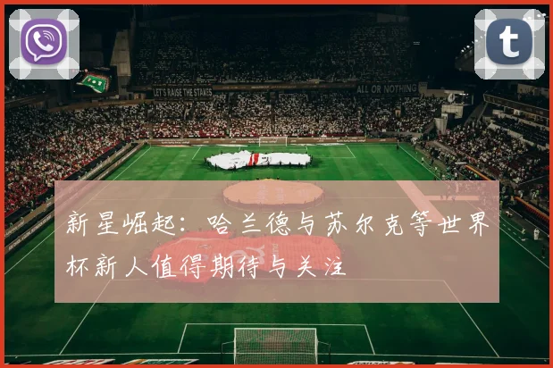 新星崛起：哈兰德与苏尔克等世界杯新人值得期待与关注